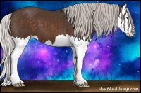 Horse Color:Silver Bay Splash 