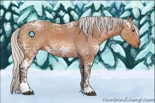 Horse Color:Silver Bay Ice Sabino 