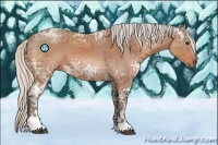 Horse Color:Silver Bay Ice Sabino 