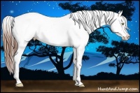 Horse Color:Sable Champagne Varnish 