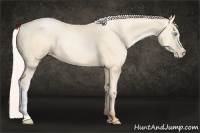 Horse Color:Silver Amber Cream Champagne Pearl