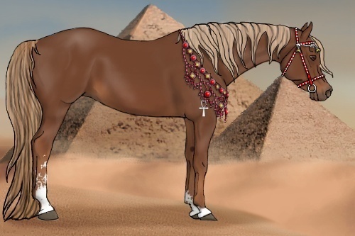 Horse Color:Chestnut Sabino