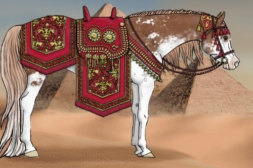 Horse Color:Chestnut Sabino 