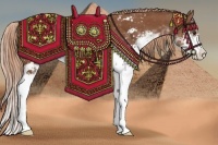 Horse Color:Chestnut Sabino 