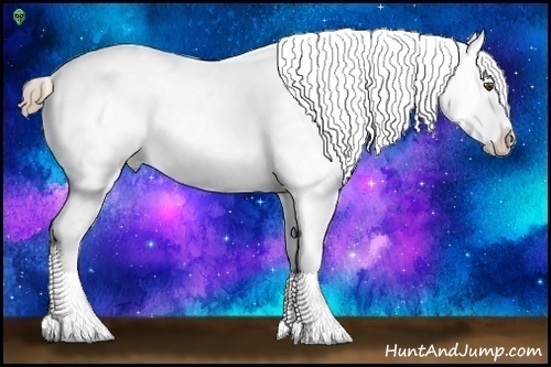 Horse Color:Liver Chestnut Pearl Appaloosa 