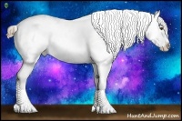 Horse Color:Liver Chestnut Pearl Appaloosa 