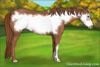 Horse Color:Chestnut Frame
