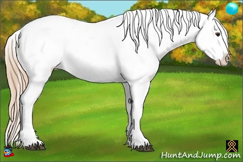 Horse Color:Chestnut Ice Sabino Appaloosa 