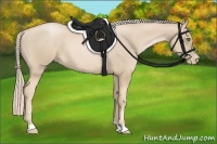 Horse Color:Palomino Pearl