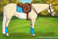 Horse Color:White Spotted Gold Cream Champagne