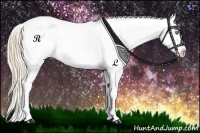 Horse Color:Gold Champagne Sabino Frame Varnish Rabicano