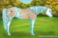 Horse Color:Thunderstruck Silver Classic Champagne Splash 