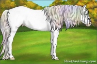 Horse Color:Nacre Silver Amber Cream Champagne Varnish