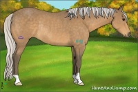 Horse Color:Silver Buckskin Rabicano