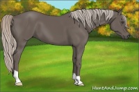 Horse Color:Silver Black 