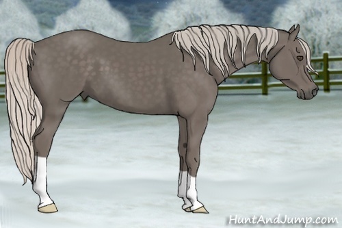 Horse Color:Silver Black 