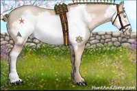 Horse Color:Palomino Pearl Frame 