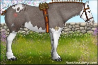 Horse Color:Liver Chestnut Splash Appaloosa 