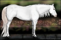 Horse Color:Red Roan Blanket