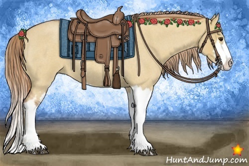 Horse Color:Red Dun Roan Splash Frame Rabicano