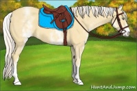 Horse Color:White Spotted Gold Cream Champagne 