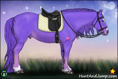 Horse Color:Watercolor Chestnut Sabino 