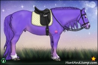 Horse Color:Watercolor Chestnut Sabino 
