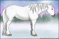 Horse Color:Gray Bay 