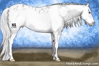 Horse Color:Silver Classic Cream Champagne Chinchilla Dun Splash Frame Blanket Rabicano