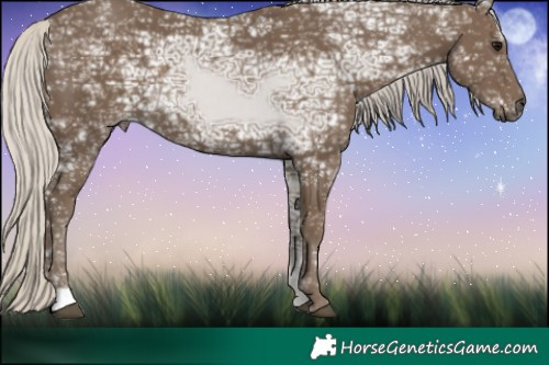 Horse Color:Silver Smoky Black Ice