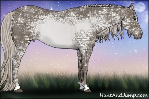 Horse Color:Silver Smoky Black Ice 
