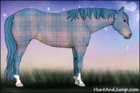 Horse Color:Watercolor Plaid  Bay 