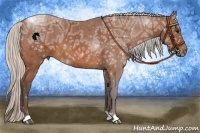 Horse Color:Silver Bay Ice 