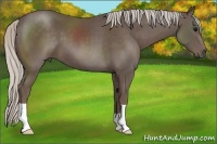 Horse Color:Silver Black 