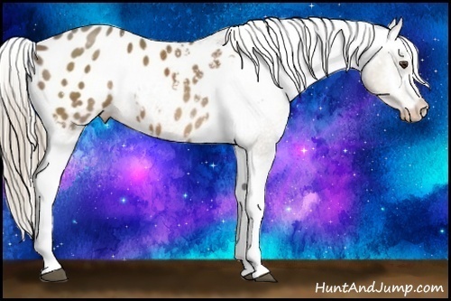 Horse Color:White Spotted Chocolate Palomino Varnish 