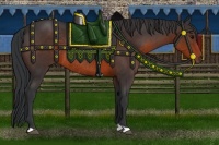 Horse Color:Brown Rabicano 