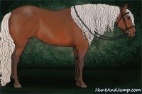 Horse Color:Silver Bay 