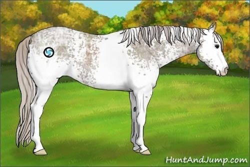 Horse Color:White Spotted Silver Grullo Ice 