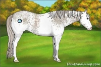 Horse Color:White Spotted Silver Grullo Ice 