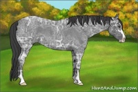 Horse Color:Smoky Blue Ice Roan Sabino