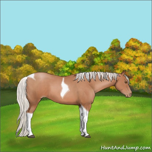 Horse Color:Silver Black Pearl Sabino Tobiano 