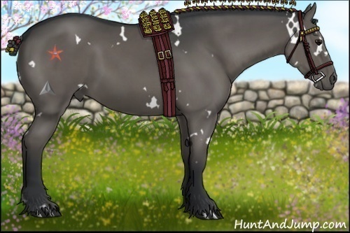 Horse Color:White Spotted Black Rabicano 