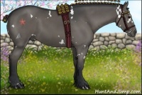 Horse Color:White Spotted Black Rabicano 