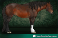 Horse Color:Gray Bay