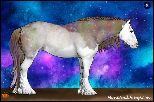 Horse Color:Nacre Liver Red Roan Sabino Splash Rabicano 