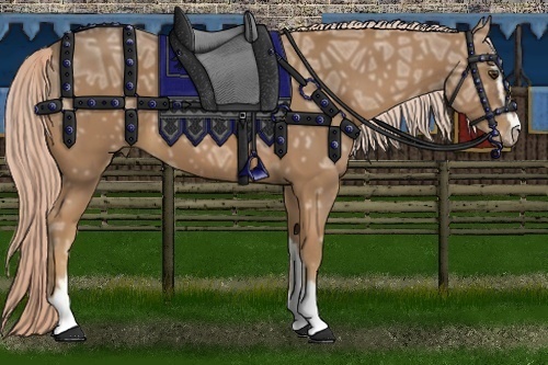 Horse Color:Palomino Ice Sabino 