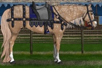 Horse Color:Palomino Ice Sabino