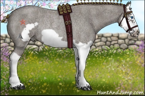 Horse Color:Silver Blue Roan Splash Frame Rabicano 