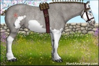 Horse Color:Silver Blue Roan Splash Frame Rabicano