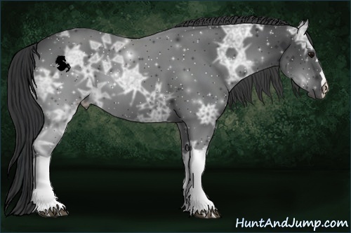 Horse Color:Black Ice 